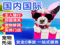 天津空运公司国际宠物托运 【国