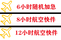 天津空运公司快递公司,专业空运当天件